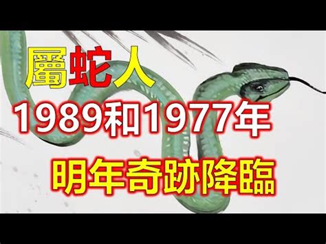 1989生肖蛇|1989年生肖蛇的是什么命 89年的属蛇人一生命运分析